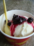 DSC05451-1.jpg