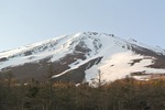 DSC_4328.jpg