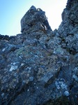 IMGP0311.jpg