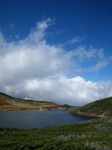 IMGP0568.jpg