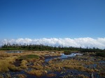 IMGP0595.jpg