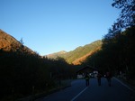 IMGP0725.jpg