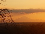IMGP0949.jpg