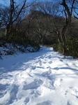 IMGP1085.jpg