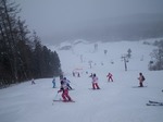 IMGP1117.jpg