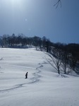 IMGP1741.jpg