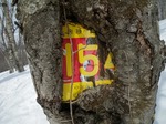 IMGP1942.jpg