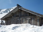 IMGP3061.jpg