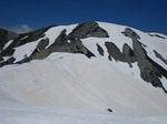 IMGP3115.jpg