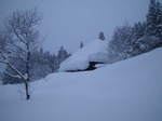 IMGP5693.jpg