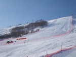 IMGP5865.jpg