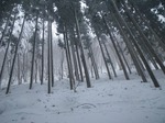 IMGP5894.jpg