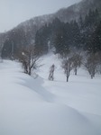 IMGP5902.jpg