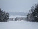 IMGP5953.jpg