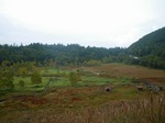 IMGP7378.jpg