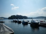 IMGP7464.jpg