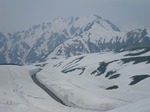 IMGP8795.jpg