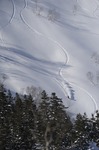 _RJB7527.jpg